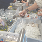 Sip and Stick | Christmas Tree Mosaic Workshop